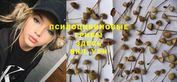 трава Балахна