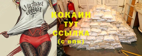трава Балахна