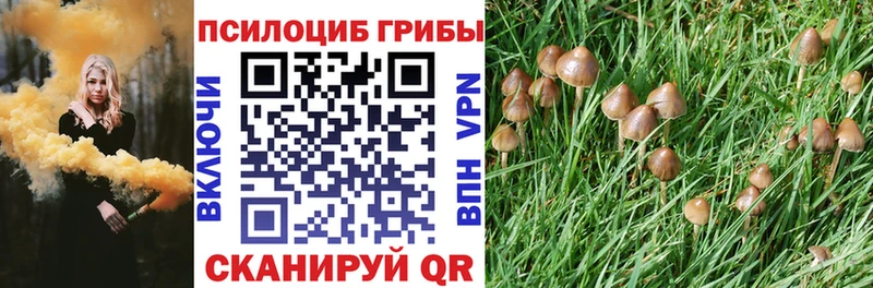 Псилоцибиновые грибы мицелий  Бахчисарай 